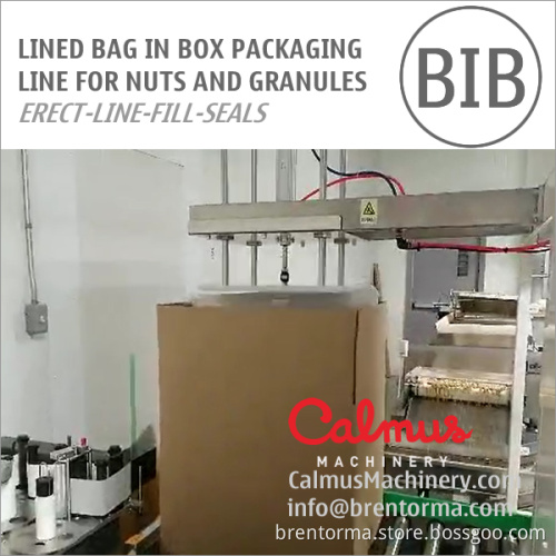 Liner Bag in Box Forming Filling Sealing Line for Packaging Nuts and Granules